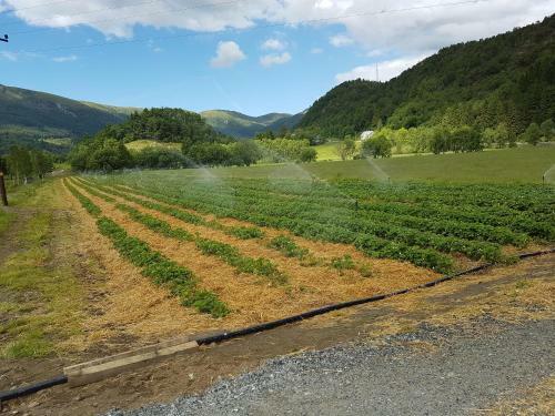 Agroturismo Solneset Farm