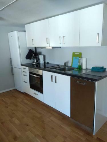 Hostal Skuteviken Apartments 40