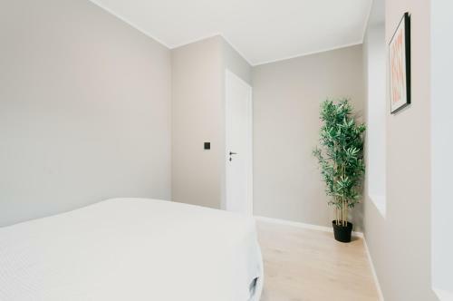 Stay Apartments Mcb