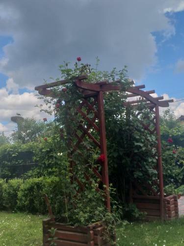 Hostal Green Garden Avrig