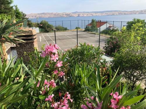 Apartamento Ferienhaus Toma