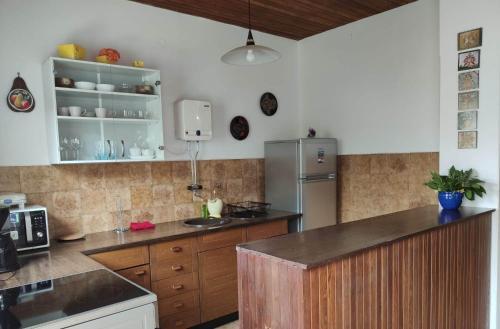 Danica Holiday House