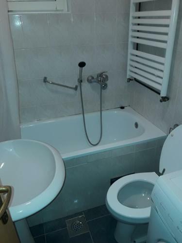 Apartman Lazar I Viktor