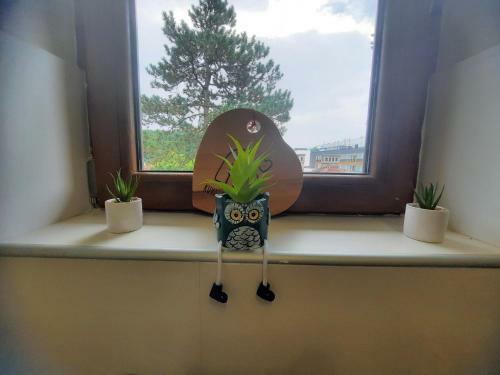 Apartman Kori?anac Vrnja?ka Banja