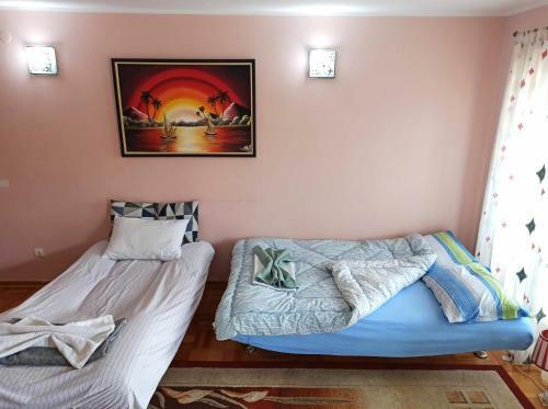 Modern Lux Apartment