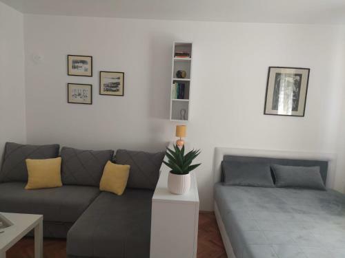 Apartman Va?a Pri?a Vrnja?ka Banja