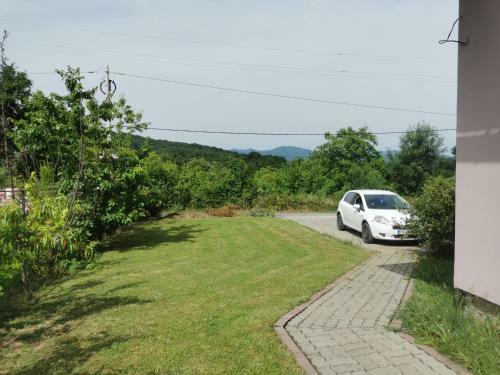 Apartments Beli Vrh