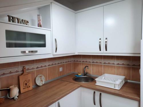 Oggy Apartment