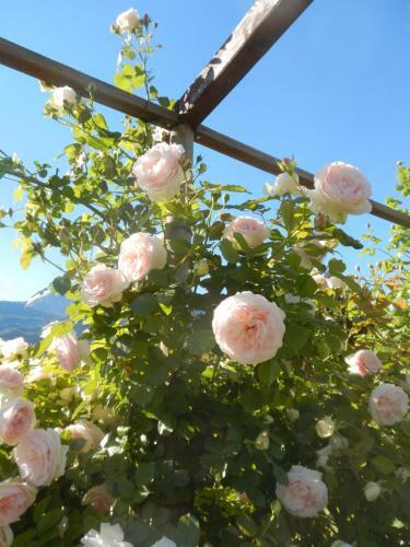 Agroturismo Al Fiume
