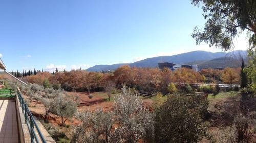Agroturismo Relax In 'crazy Farm'