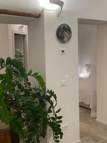 Peaknest - Holiday Apartment