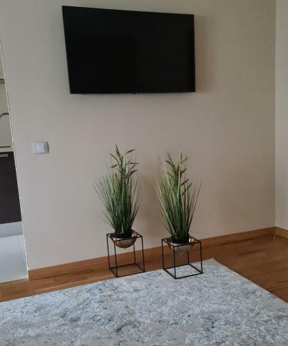 Rietumkrasta Seaside Apartment