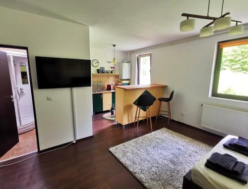 Apartamento Studio Azuga