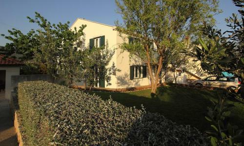 Apartments Mocici