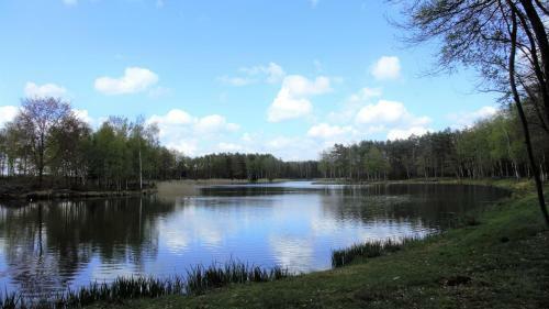 Apartamento Buiten In Bladel