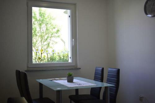 Apartman Igor