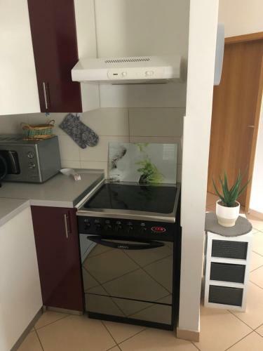 Apartman Igor