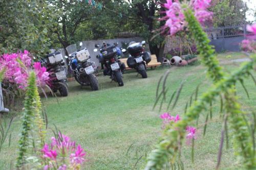 Hostal Guesthouse Alvani