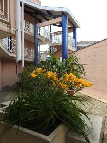 Apartamentos R�sidence Casino
