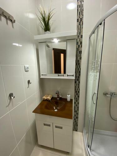 Apartmani Diksi 2 Centar