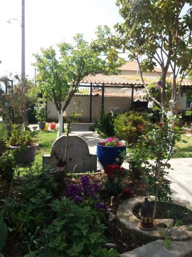 Agroturismo Sofia's Cottage