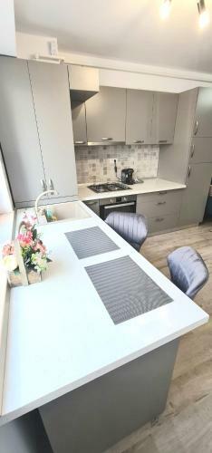 Apartament 2 Camere Bacovia