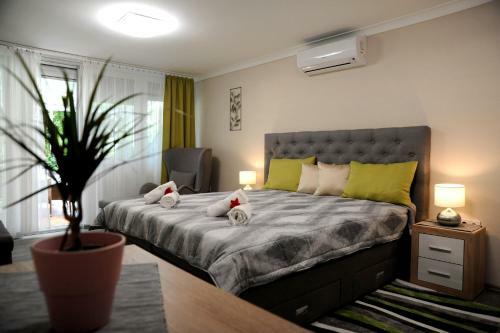 Judit Apartman Domb�v�r-gunaras