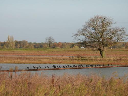 Bed & Breakfast De Blauwververij