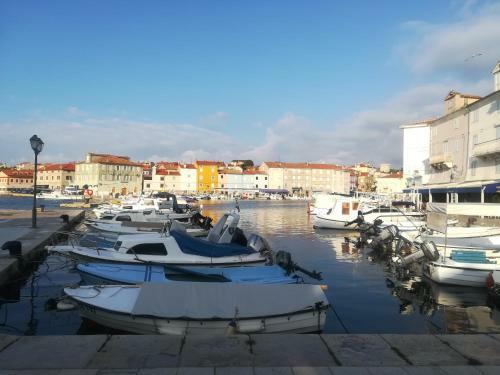 Apartment Dolores