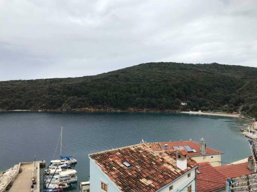 Apartments In Cres - Insel Cres 41849