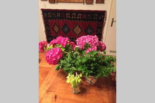 Hortenzia Cottage D�m�s