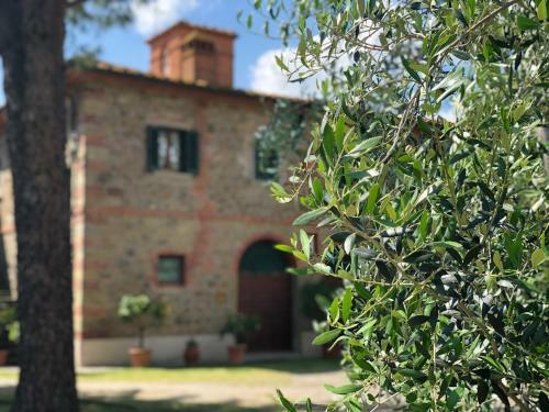 Hostal Casa Il Ceppo
