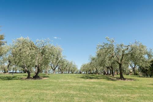 Villa Giola B&B