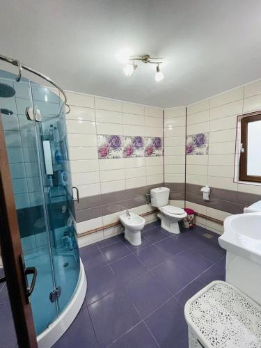 Hostal Pensiunea Casa M?d?