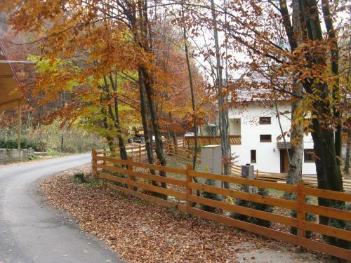 Casa de Vacanta Mogosa