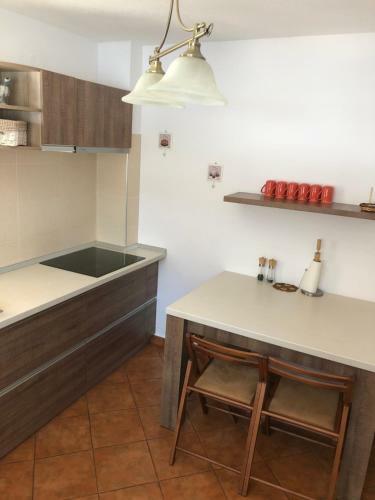 Casa de Vacanta Mogosa
