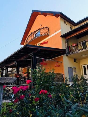 Hostal Pensiunea Montana Bor?a Mm