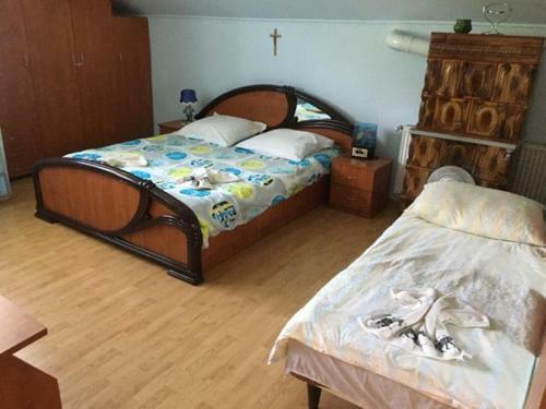 Hostal Vila Firuta Borsa
