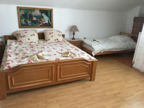 Hostal Vila Firuta Borsa