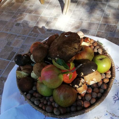 B&B L'agrifoglio
