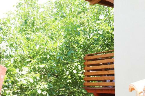 Casa Vacanze Il Giardino - Appartamento Agrifoglio