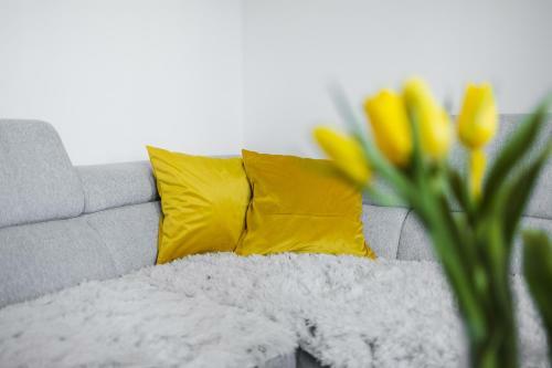 Apartman Iskra