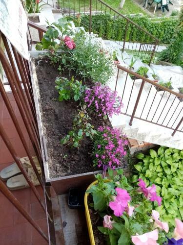 Apartman Vila Lela