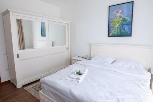Apartamento Luxury Baia Mare