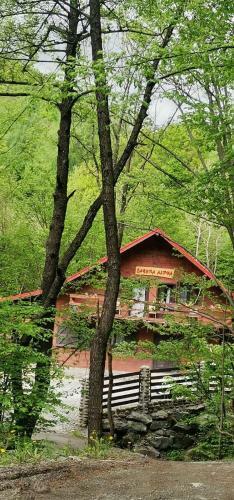 Lodge Cabana Alpha