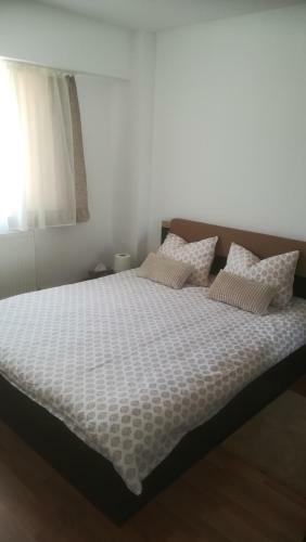 Central Parkview Apartment