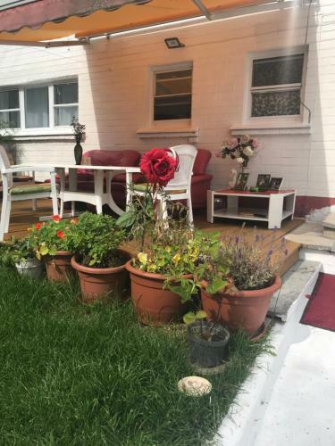 Apartamento Baltas Namas