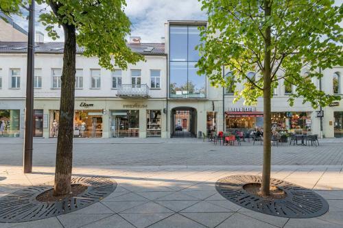 Kaunas Center Apartment