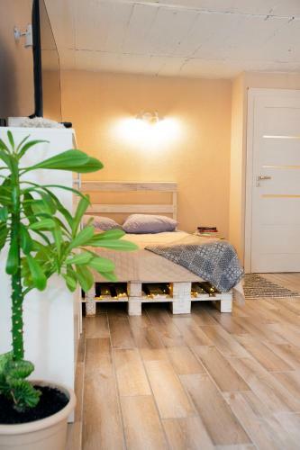 Apartment In Garage With Free Parking