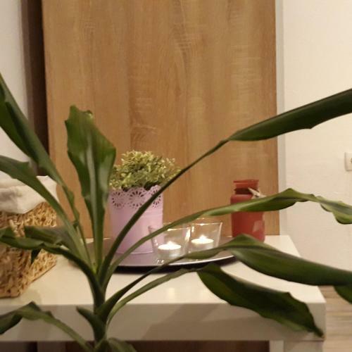 Daruvar City One Apartment